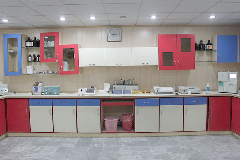 Rehman Lab